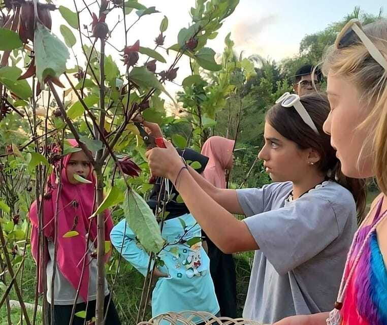 lombok-bonjeruk-village-biking-tour-city-tour