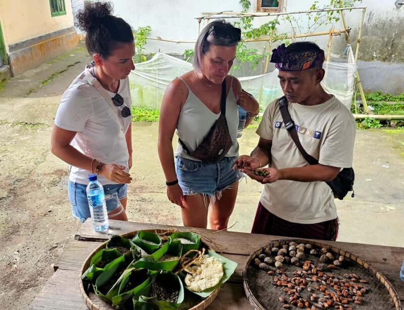 Lombok: Coffee Experience, Rice Terraces & Waterfalls Tour - An Introduction to the Tour Experience