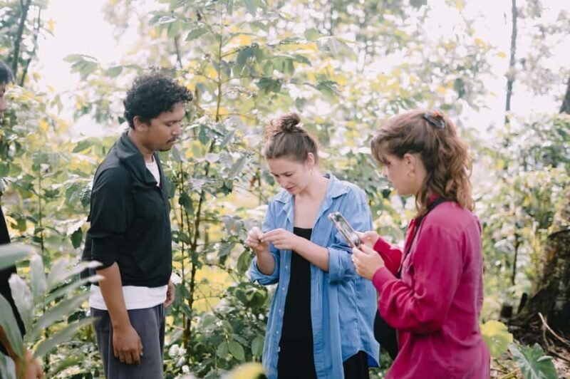 Lombok: Coffee Plantation Tour With Tasting - Real Visitor Perspectives