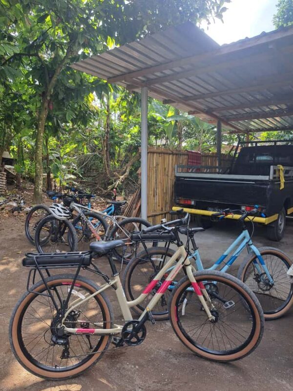 Lombok Cycling tour: Rice field, Waterfall, Monkey Forest - An Honest Take on a Charming Countryside Adventure