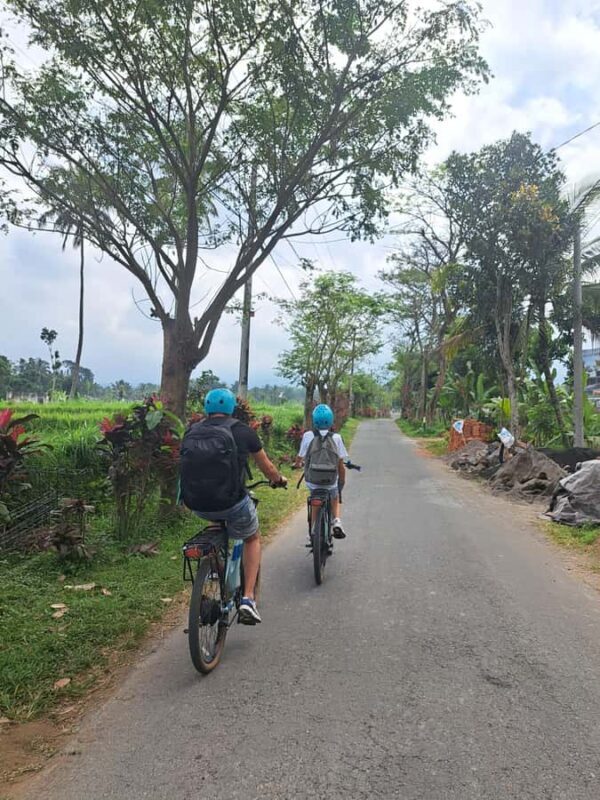 Lombok Cycling tour: Rice field, Waterfall, Monkey Forest - Key Points