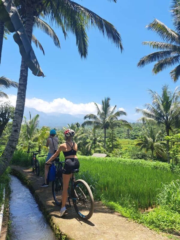 Lombok Cycling tour: Rice field, Waterfall, Monkey Forest - Starting Point and Logistics