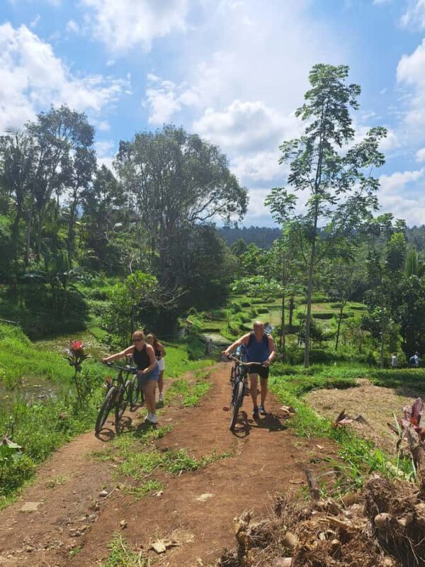 Lombok Cycling tour: Rice field, Waterfall, Monkey Forest - Learning about Local Culture: Coffee & Coconut Oil