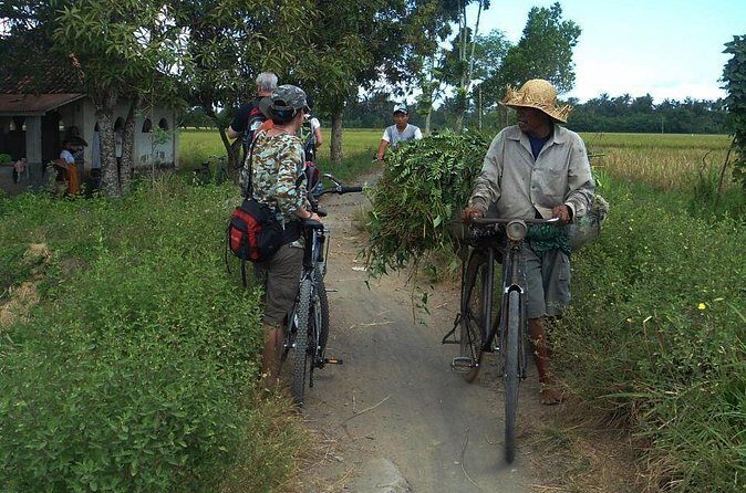 Lombok Cycling Tour: Tempos Rice Field, Hand Weaving Village & Pengsong Temple - FAQ