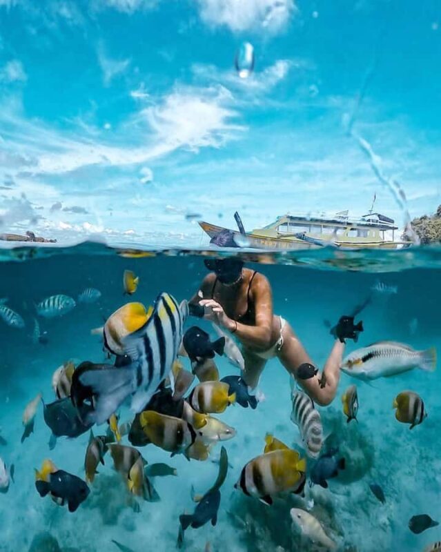 Lombok Day Tour: SukararaVillage, Pink Beach&Gili Snorkeling - An In-Depth Look at the Tour