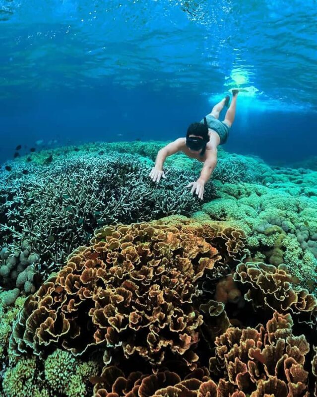 Lombok Day Tour: SukararaVillage, Pink Beach&Gili Snorkeling - Practical Tips for a Smooth Day