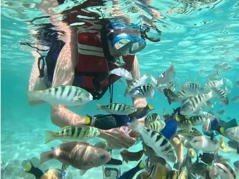 Lombok Day Tour: SukararaVillage, Pink Beach&Gili Snorkeling - Who Is This Tour Best For?