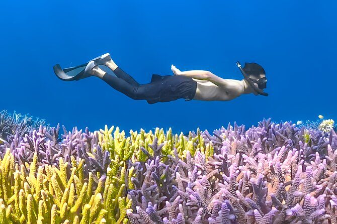 Lombok Day Trip - Privat Snorkeling Gili Nanggu,Gili Kedis,Sudak - The Authentic Experience: What Travelers Say