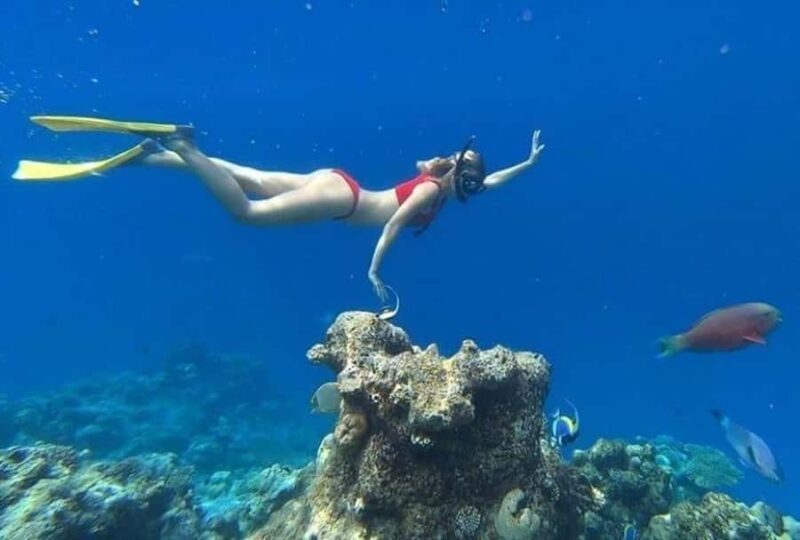 Lombok: East Gili Islands Snorkeling Tour with BBQ Lunch - A Complete Breakdown of the East Gili Islands Snorkeling Tour