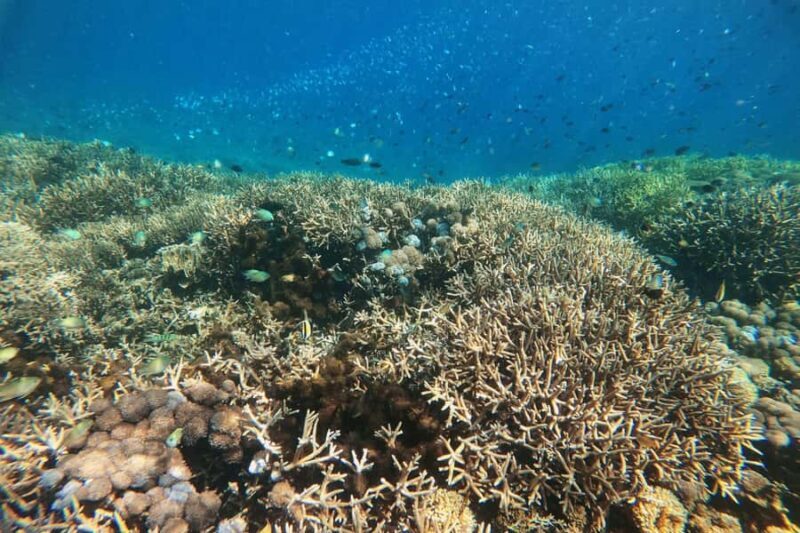 Lombok: East Gili Islands Snorkeling Tour with BBQ Lunch - Final Thoughts