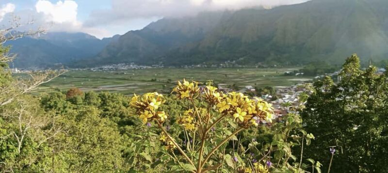 Lombok Escape: Nature, Culture & Sembalun Highlands Day Trip - Discovering Lombok’s Natural Wonders