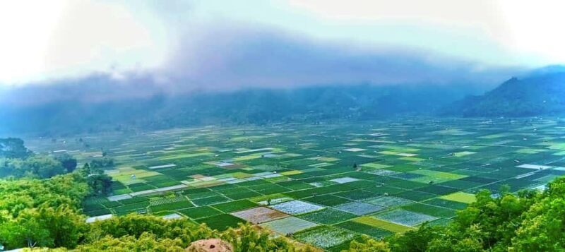 Lombok Escape: Nature, Culture & Sembalun Highlands Day Trip - Practical Details and Overall Value