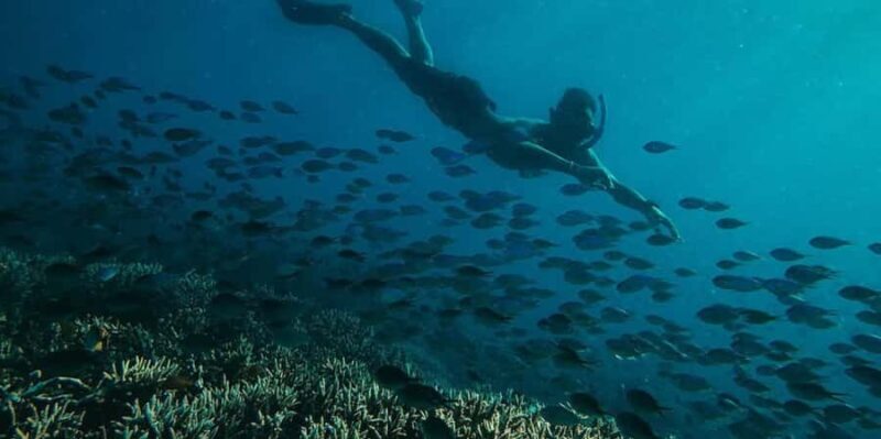Lombok: exclusive 7 Gilis snorkeling and island hopping - Key Points