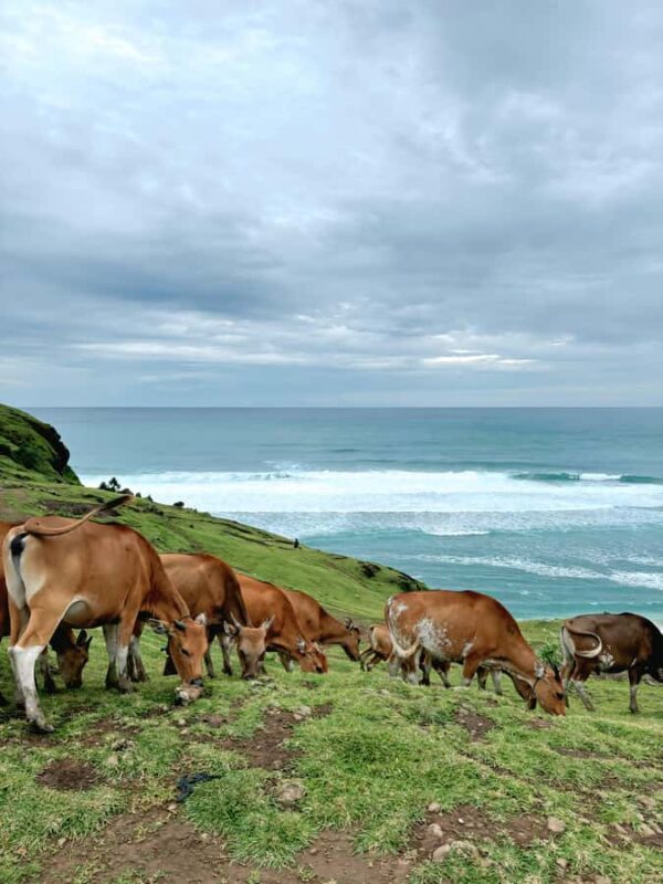 Lombok: Exclusive Benang stokel and Benang Kelambu waterfall - Key Points