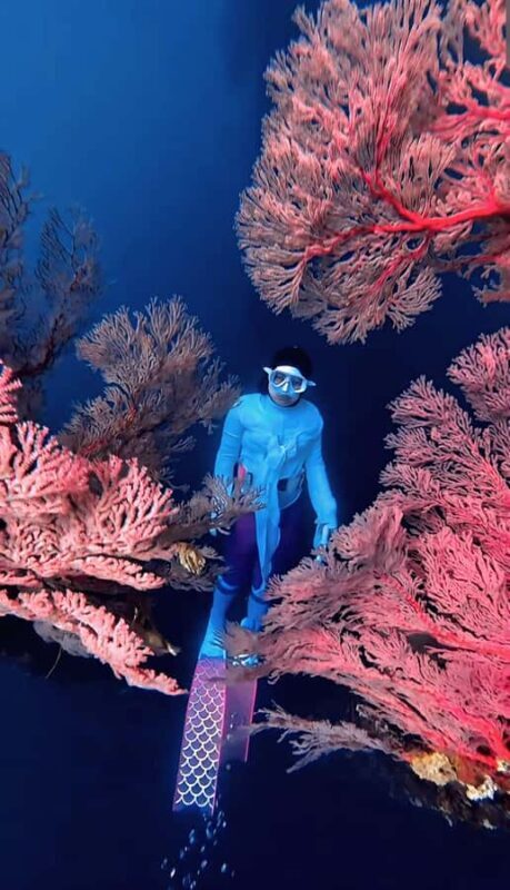 Lombok: Exclusive Snorkeling at Gili Kondo & Visit 3 Gili - What Makes This Tour Stand Out?