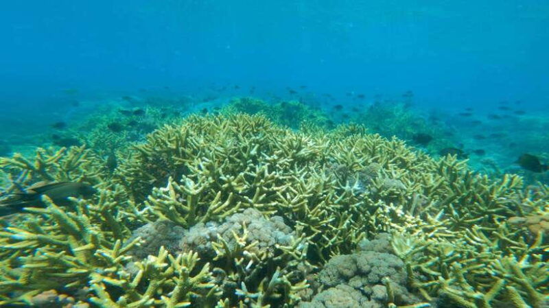 lombok-exotic-beach-and-beautiful-snorkeling