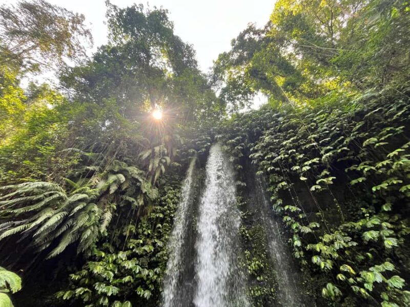 Lombok : Explore 4 Waterfall, Heritage & City Tour. - Key Points
