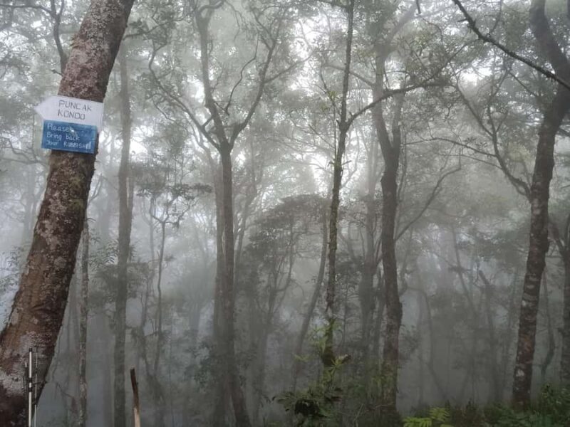 Lombok: Explore Aik Berik & Trek Mount Rinjani via Aik Berik - The Final Day: Crater Rim Views and Descending
