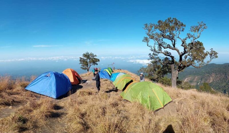 Lombok: Explore Aik Berik & Trek Mount Rinjani via Aik Berik - Overall Value and Who It’s Best For