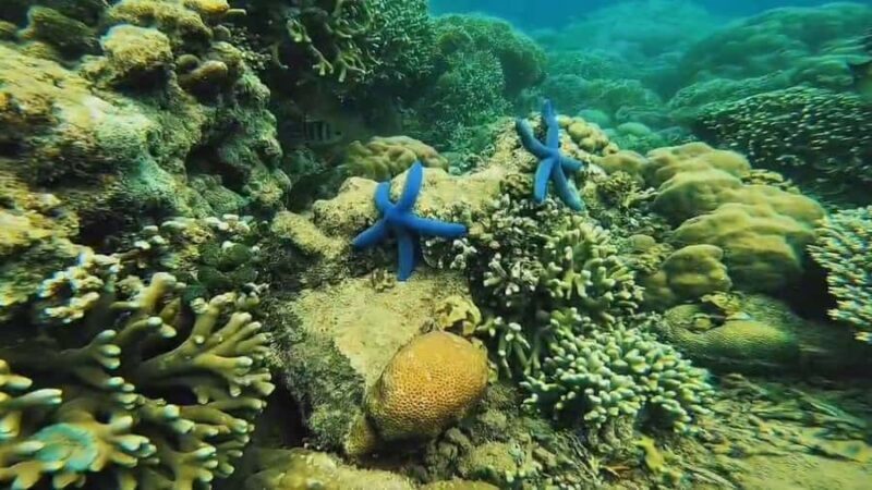 Lombok: Gili Gede, Rengit, and Layar Island Hopping Tour - The Experience in Detail