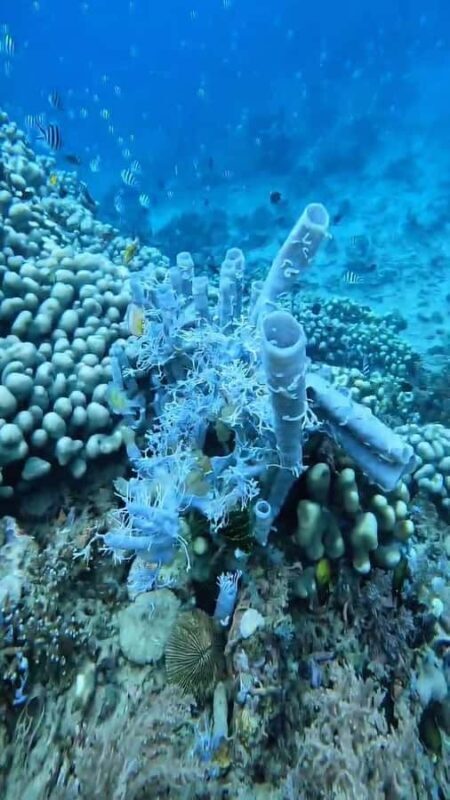 Lombok: Gili Gede, Rengit, and Layar Island Hopping Tour - FAQ