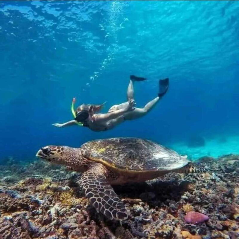 lombok-gili-islands-glass-bottom-boat-tour-with-snorkeling