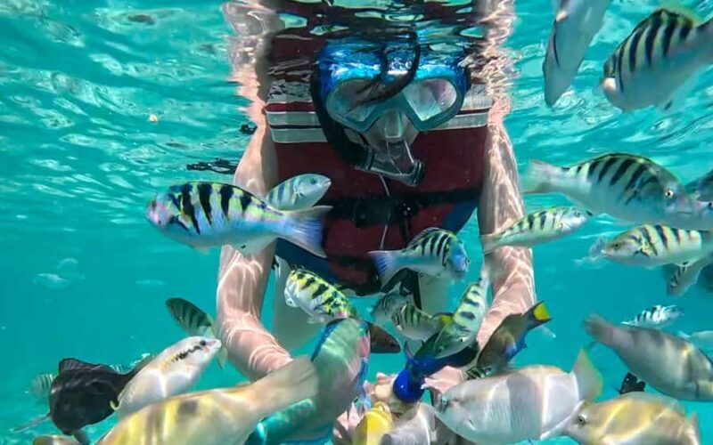 Lombok: Gili Kedis-Nanggu Underwater Mini-Island Tour - Final Thoughts