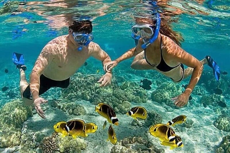 Lombok: Gili Kondo, Petagan, dan kapal Snorkeling Tour - The Tour Experience: What You Can Expect