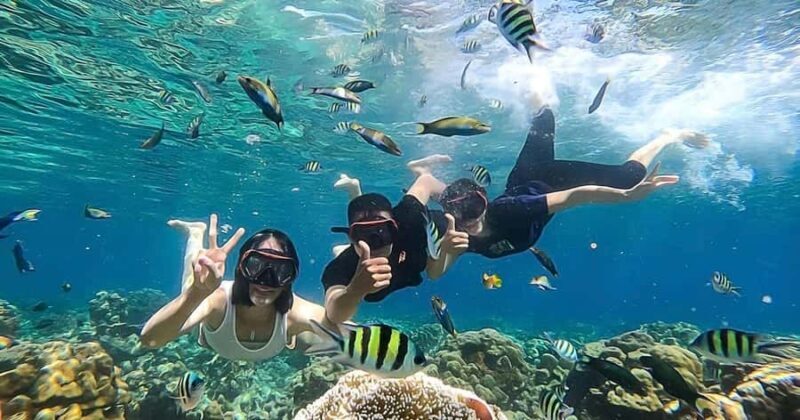 Lombok: Gili Kondo, Petagan, dan kapal Snorkeling Tour - Authentic Feedback from Travelers