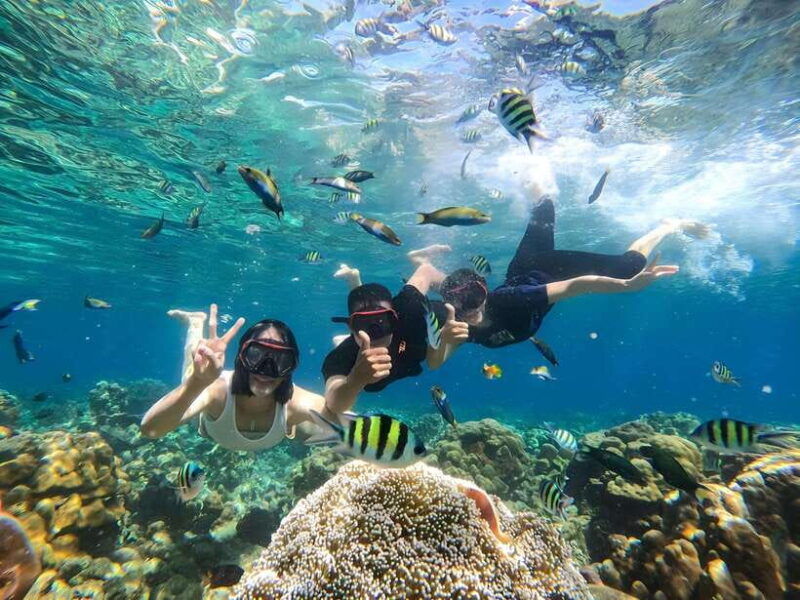 lombok-gili-nanggu-sudak-and-kedis-private-snorkeling-tour