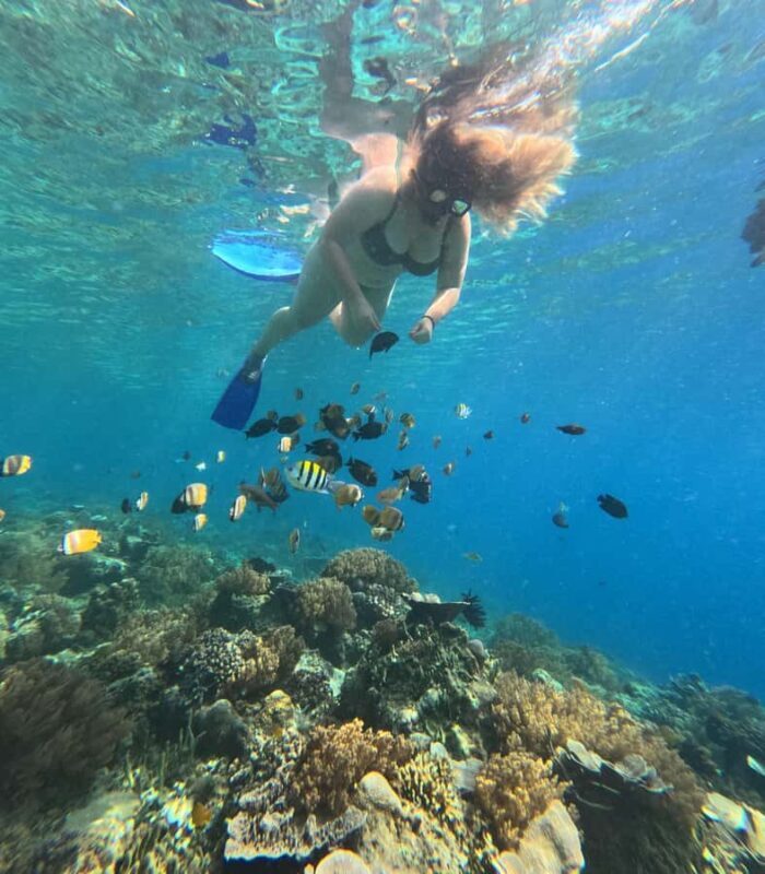Lombok: Gili Nanggu Sudak and Kedis Snorkeling Tour - What Makes This Tour Stand Out