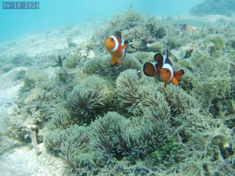 lombok-gili-nanggu-tangkong-sudak-and-kedis-islands-tour