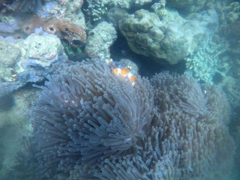 lombok-gili-nanggu-tangkong-sudak-and-kedis-islands-tour