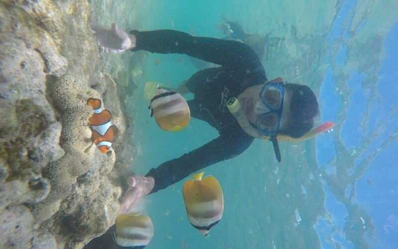 lombok-gili-nanggu-tangkong-sudak-and-kedis-islands-tour