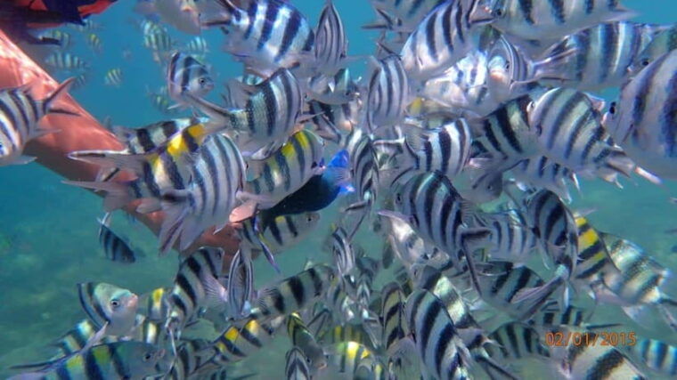 lombok-gili-nanggu-tangkong-sudak-and-kedis-islands-tour