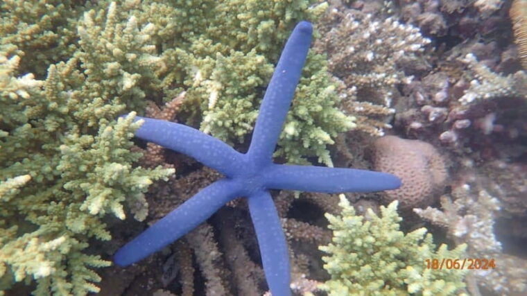 lombok-gili-nanggu-tangkong-sudak-and-kedis-islands-tour