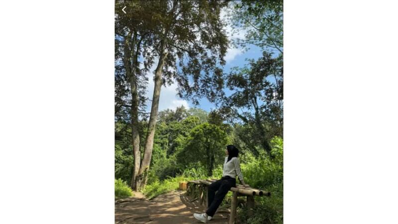 Lombok: Gosh Villa Viewpoint & Benang Stokel Waterfall Tour - The Itinerary Breakdown: What Makes Each Stop Special