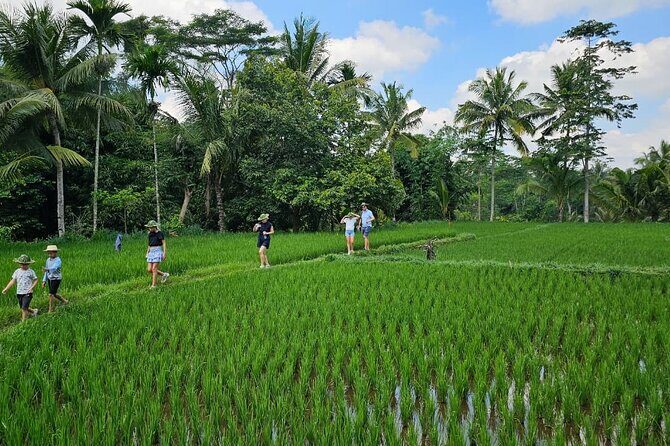 Lombok Hidden Waterfalls Walk, Rice Fields & Weaving Village - FAQ