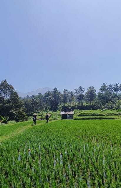 lombok-hiking-rice-terrace-waterfalls-tour