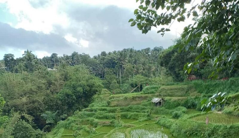 Lombok: Hiking Tour to Tete Batu Village - An In-Depth Look at the Tete Batu Hiking Experience