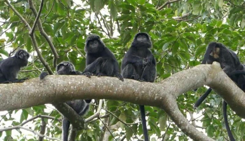 Lombok: Hiking Tour to Tete Batu Village - Final Thoughts