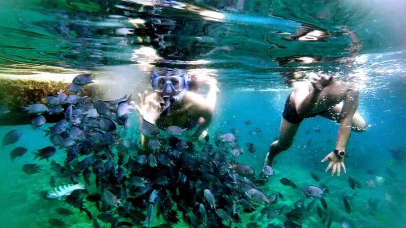 Lombok: Island Hopping Tour from Lombok - Full Day - Practical Considerations & What to Pack