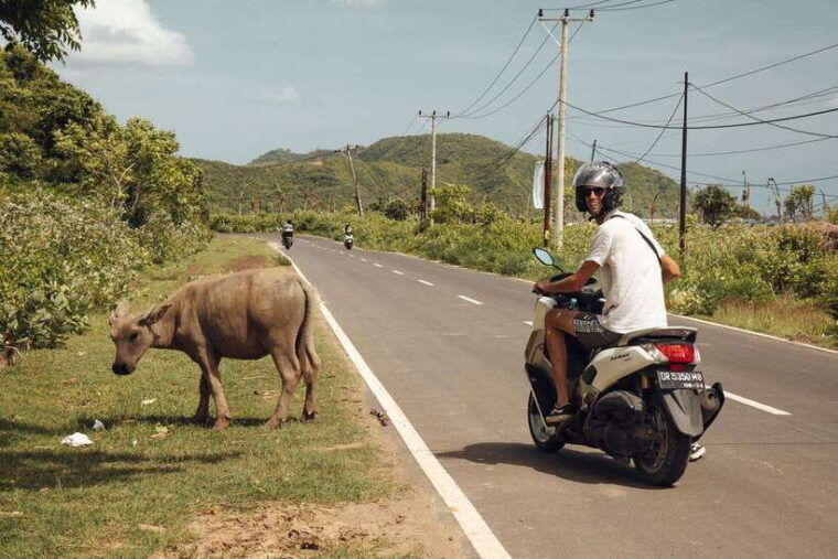 lombok-loop-4-day-small-group-motorcycle-adventure