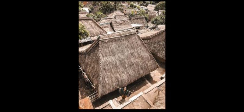 Lombok one-day trip experience - Authentic Insights from Reviews