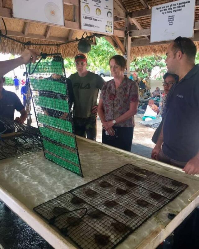 Lombok: Pearl Farm Tour and Gili Air Day Trip - Discovering Authentic Lombok: Pearl Farm Tour and Gili Air Day Trip