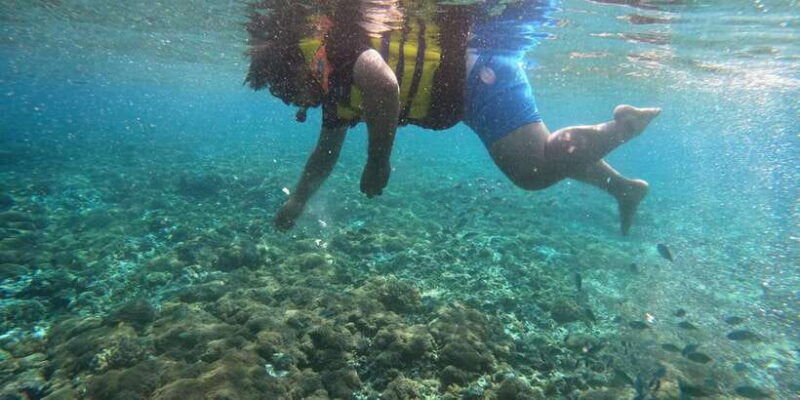 lombok-pink-beach-boat-trip-snorkeling-relaxing