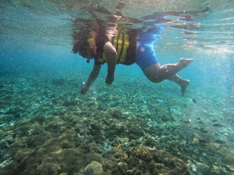 lombok-pink-beach-boat-trip-snorkeling-relaxing