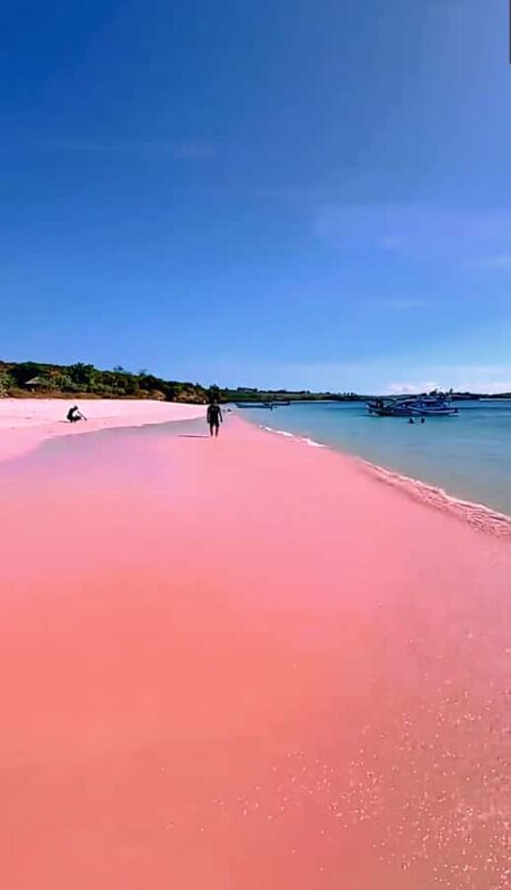 Lombok: Pink Beach & Exclusive Snorkeling Gili Petelu - A Closer Look at the Tour Itinerary