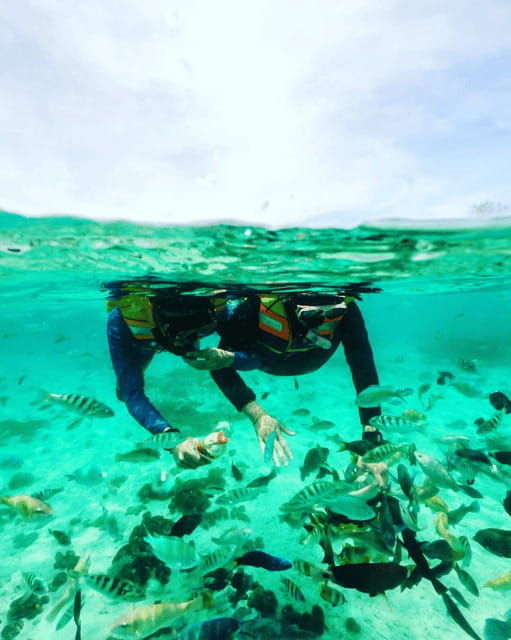 lombok-pink-beach-snorkeling-and-picnic-tour-fullday