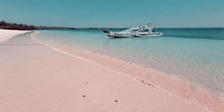 lombok-pink-beach-snorkeling-tanjung-ringgit-tour